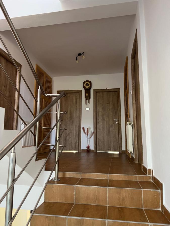 Vila Vibrant Bran  Esterno foto